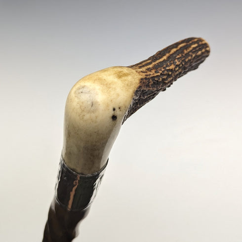 Around 1895 British Antique Men's Walking Stick Antler Clutch Handle Twist Shaft 85cm